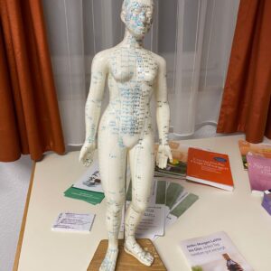 Vortrag zur traditionellen chinesischen Medizin (TCM) mit Monika Holub