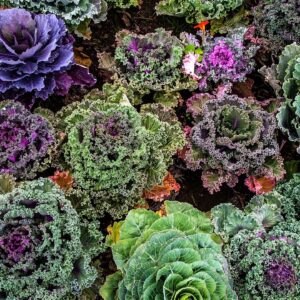 Regionale Superstars bringen Vorteile