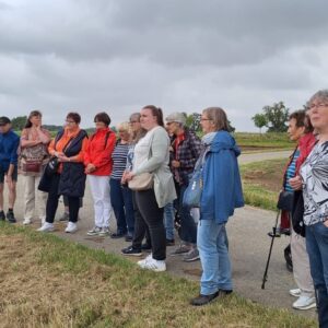 Wildblumen und Pilzzucht