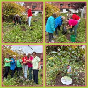 Baumpflanz Challenge